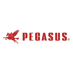 PEGASUS